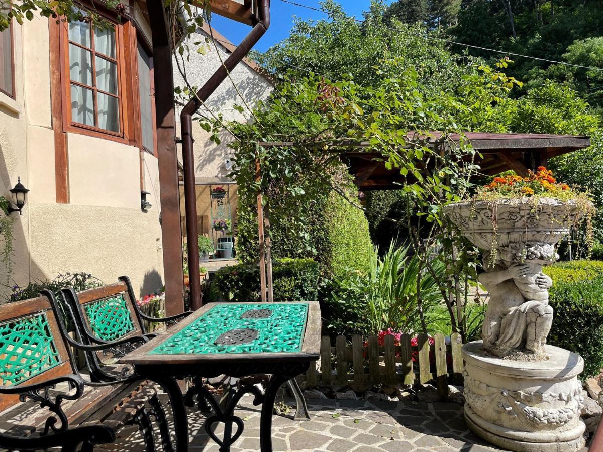 Dream House Brasov酒店 外观 照片